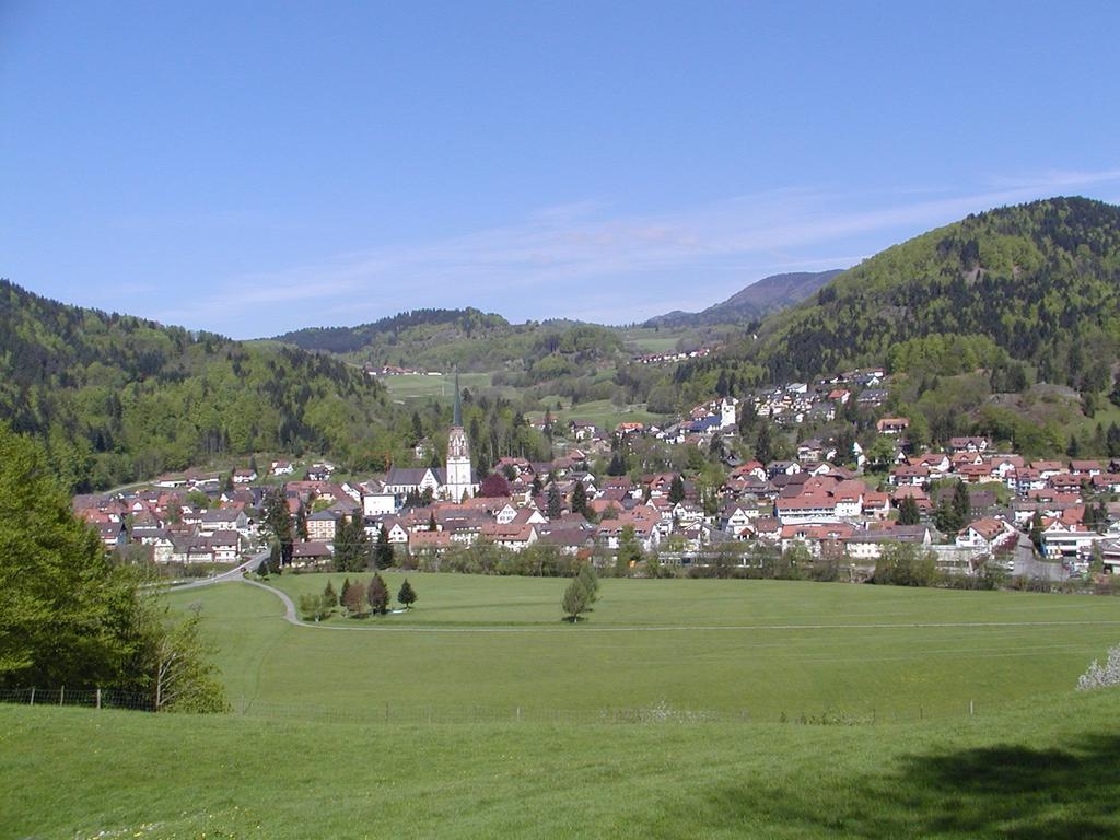 Parkhotel Sonne Schonau im Schwarzwald Exterior photo